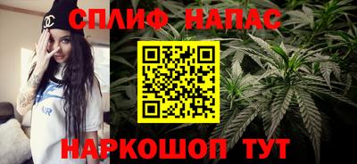 шишки Тулун