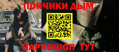 шишки Тулун