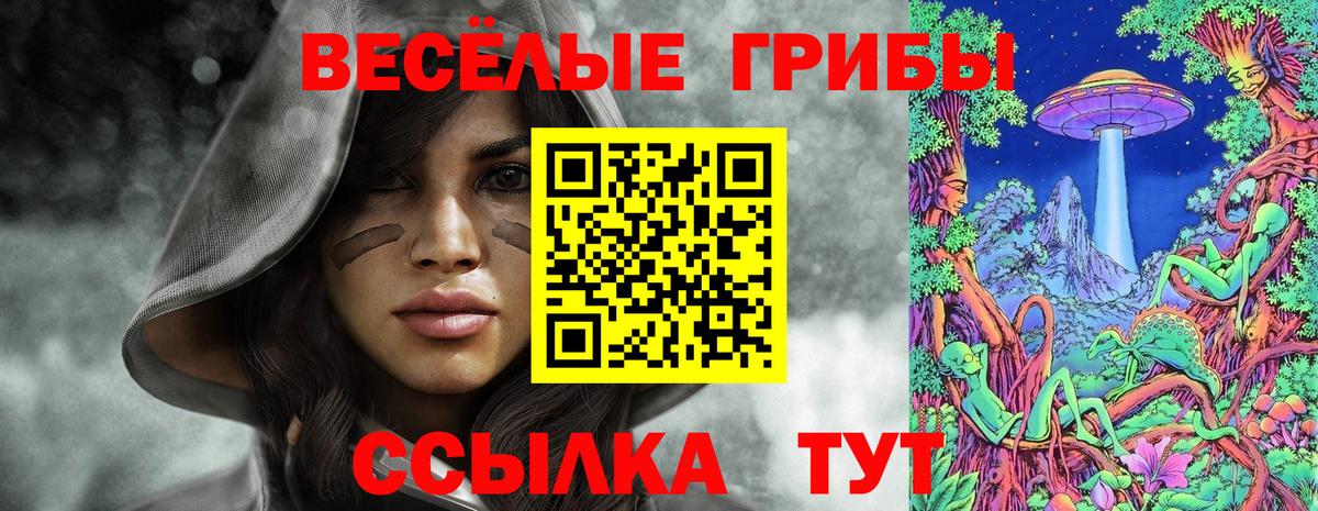 Псилоцибиновые грибы ЛСД Балашиха