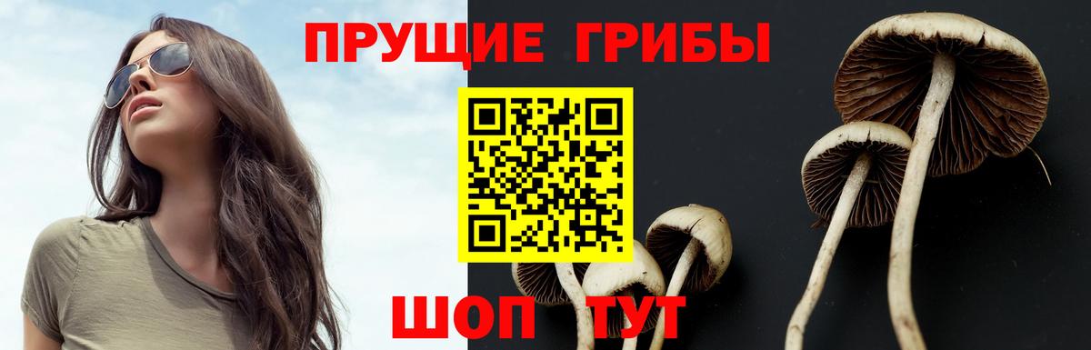 Балашиха  Галлюциногенные грибы Psilocybe  Вход с VPN  Галлюциногенные грибы Magic Shrooms 